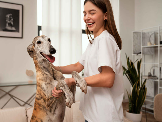 Servicio Veterinario a Domicilio en Santiago: La Comodidad y Tranquilidad de Petvet