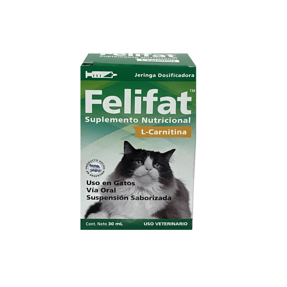 l carnitine benefits for brain L-Carnitina para gatos ¿Cuando suministrarla? |Agrocampo| main image 1