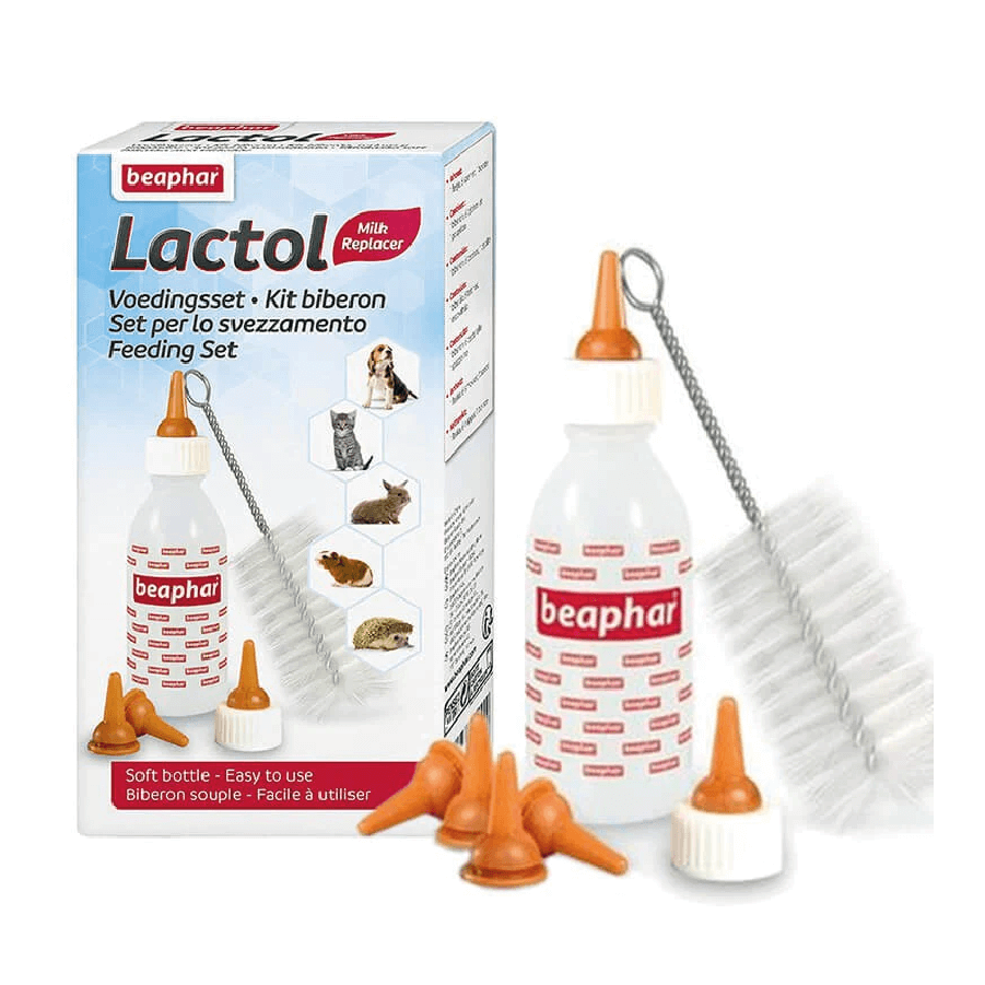 Cepillo Quitapelos Para Perro Y Gato