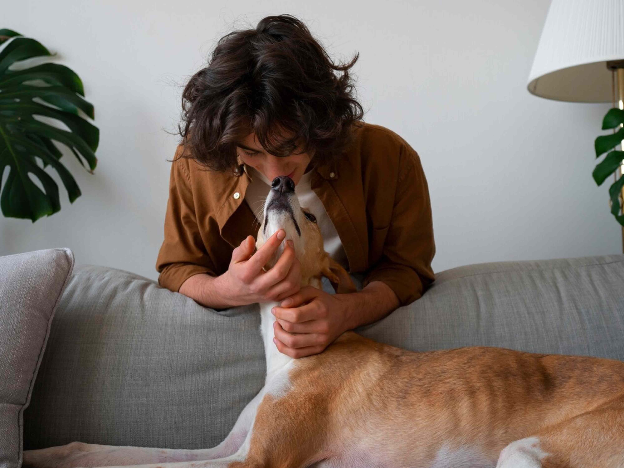 Cómo cuidar a tu perro de las alergias alimentarias y estacionales