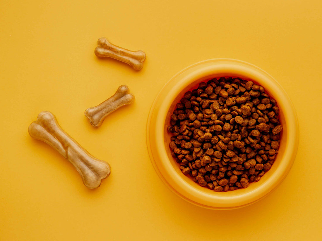 Alimentos sin granos para perros y gatos