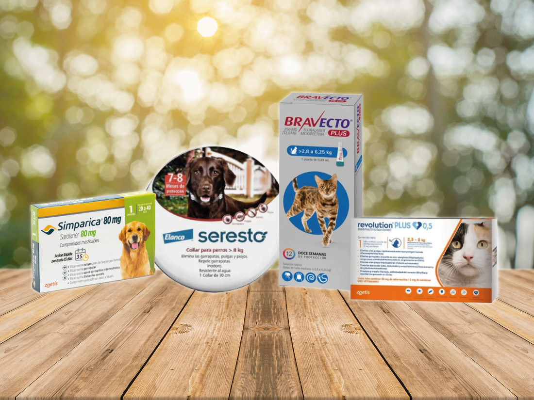 Antiparasitarios para perros: diferencias entre pastillas, pipetas y collares