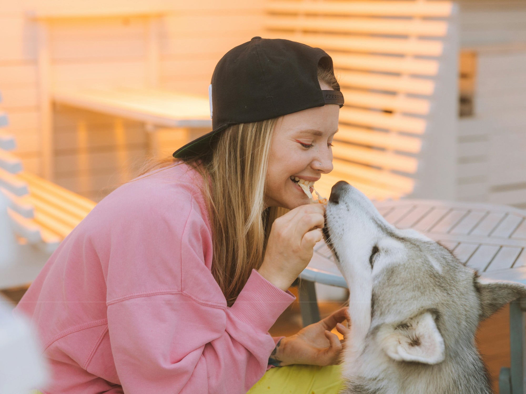 ¿Puedo darle comida casera a mi perro?