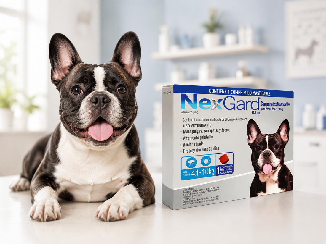 Efectos secundarios de NexGard en perros: qué es normal y qué no