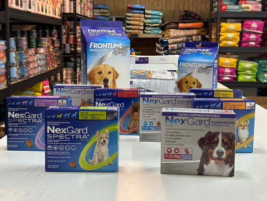 ¿Por qué es importante desparasitar a tu perro o gato regularmente?