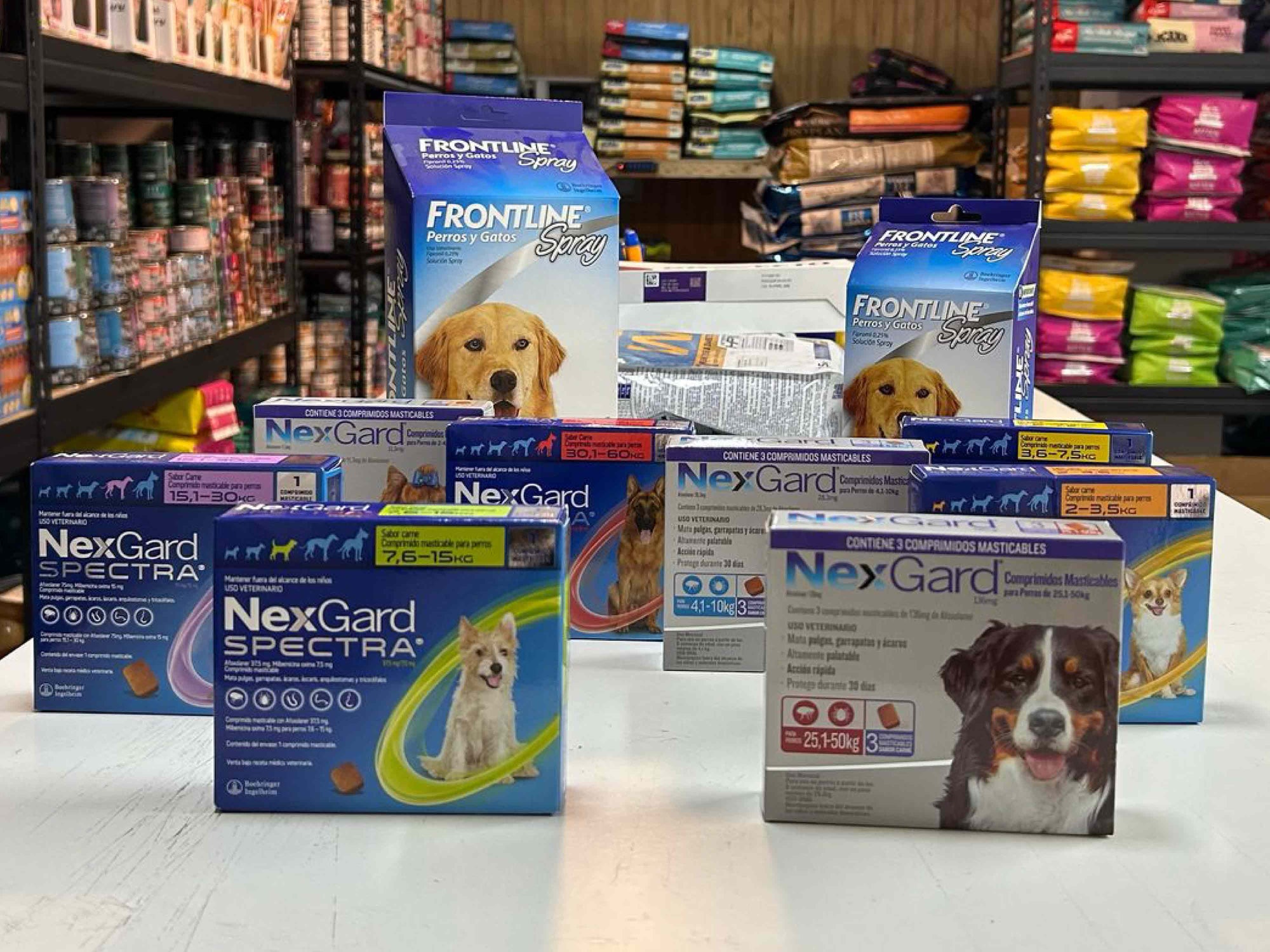 ¿Por qué es importante desparasitar a tu perro o gato regularmente?