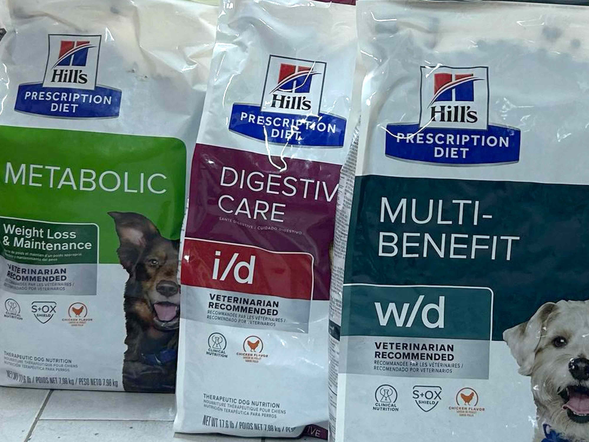 ¿Qué son los alimentos terapéuticos para mascotas y cuándo se usan?