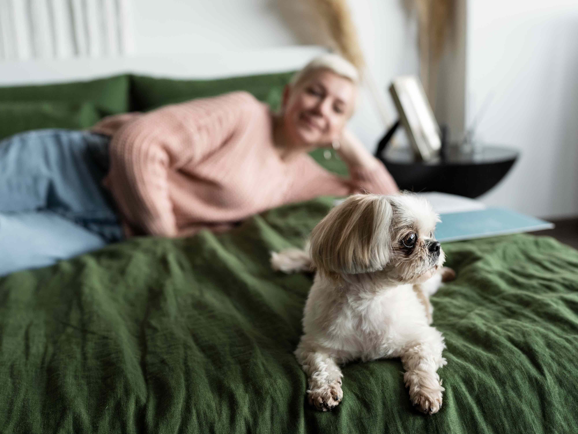 ¿Cómo saber si mi perro tiene artritis?