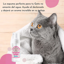 Coolpet Shampoo Sin Enjuague Gatos