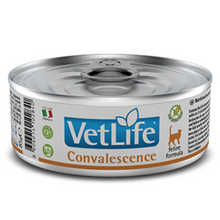Vet Life WF Lata Gato Convaleciente