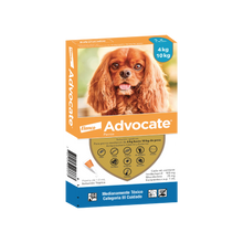 Advocate Perro 4 - 10 k (1.0ml)