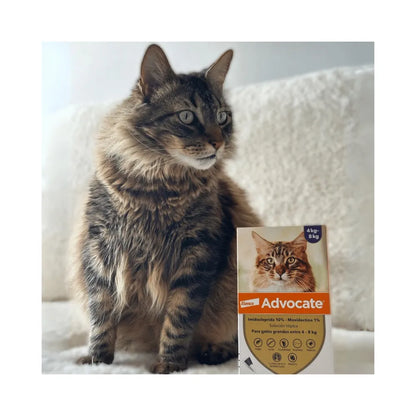 Advocate Gato 4 - 8 k (0.8 ml)