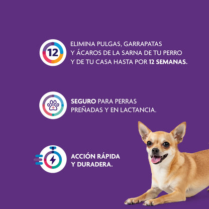 Bravecto Perro 2 - 4.5 kg (112.5 mg)