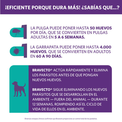 Bravecto Perro 2 - 4.5 kg (112.5 mg)