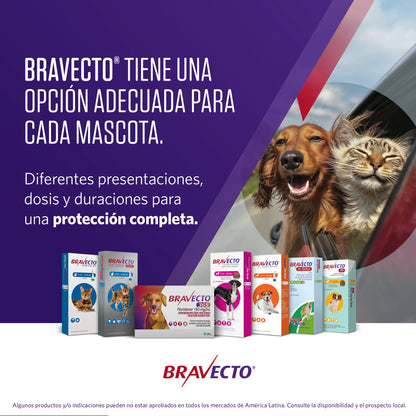 Bravecto Perro 2 - 4.5 kg (112.5 mg)