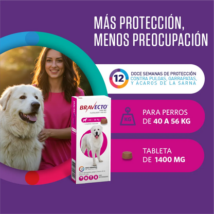 Bravecto Perro 40 - 56 kg (1400 mg)