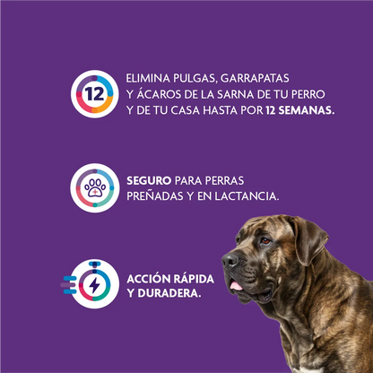 Bravecto Perro 40 - 56 kg (1400 mg)