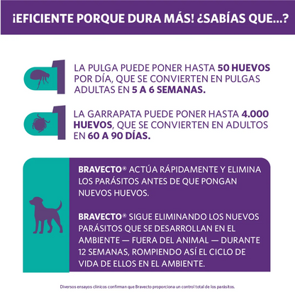 Bravecto Perro 40 - 56 kg (1400 mg)