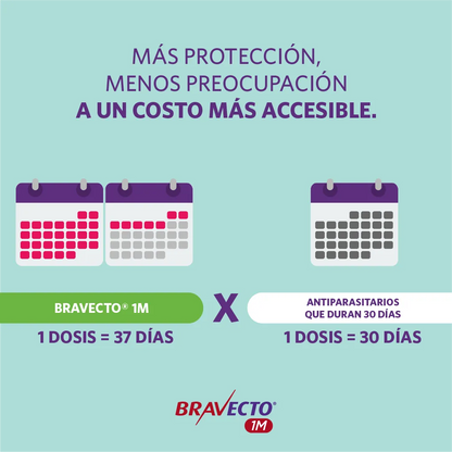 Bravecto Perro 1 Mes 10 - 20 kg (200 mg)