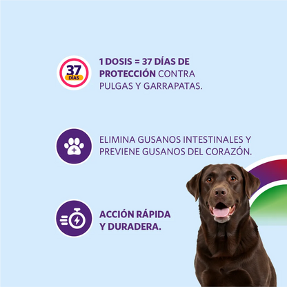Bravecto 1M Triple 20-40 kg