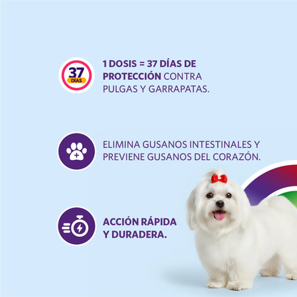 Bravecto 1M Triple 2.5-5 kg