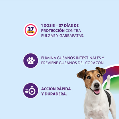 Bravecto 1M Triple 5-10 kg