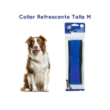 Collar Refrescante Perro - M