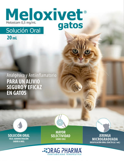 Meloxivet Gatos 20 Ml