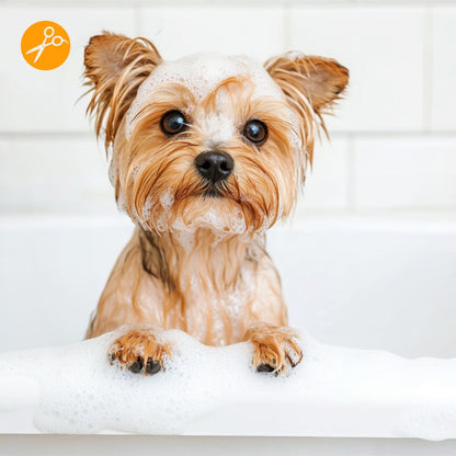 Peluquería Perro PEQUEÑO (hasta 9 Kg) a domicilio