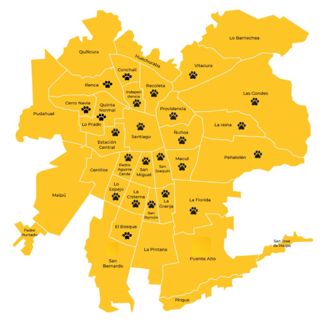 Peluquería Perro PEQUEÑO (hasta 9 Kg) a domicilio