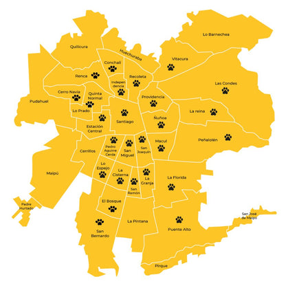 Peluquería Perro PEQUEÑO (hasta 9 Kg) a domicilio