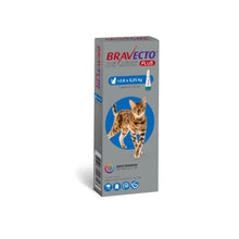 Bravecto Plus Gato 2.8 - 6.25 kg (250 mg)