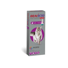 Bravecto Plus Gato 6.25 - 12.5 kg (500 mg)