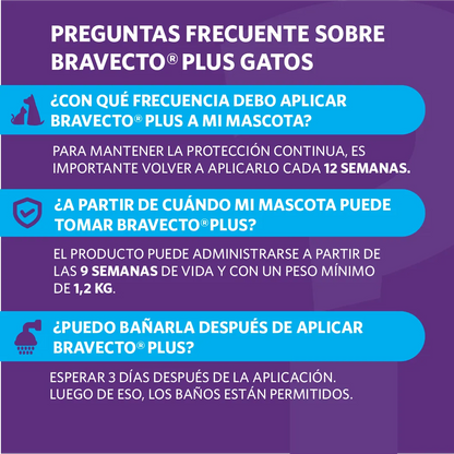 Bravecto Plus Gato 6.25 - 12.5 kg (500 mg)