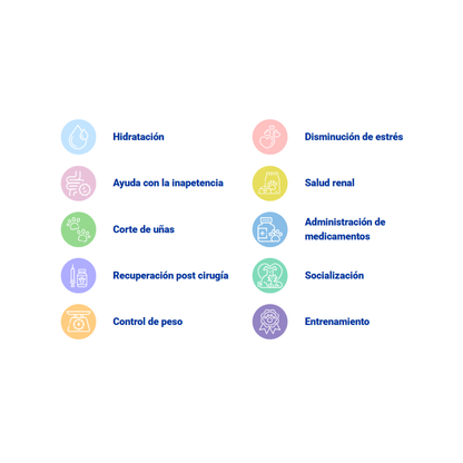 Churu Meal Topper Dog Chicken Pumpkin