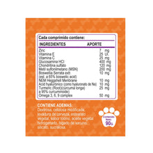 GoodWell Joint Care Cuidado Articular