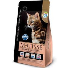 Matisse Gato Adulto Castrado Salmon