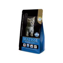 Matisse Kitten