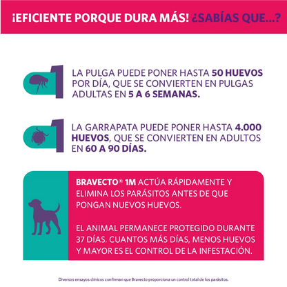 Bravecto Perro 1 Mes 20 - 40 kg (400 mg)