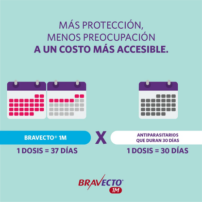 Bravecto Perro 1 Mes 20 - 40 kg (400 mg)