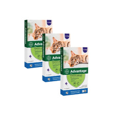 Pack 3x Advantage Gato 4 - 8kg (0.8ml)