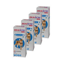 Pack 4x Bravecto Plus Gato 2.8 - 6.25kg (250mg)