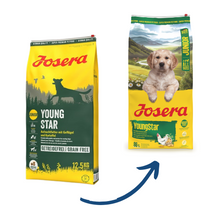Josera Young Star Perro 12,5 kg