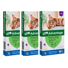 Pack 3 x Advantage Gato 4 - 8 k (0.8ml)