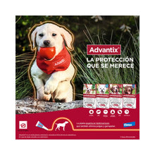 Advantix Perro 10 - 25 k (2.5ml)