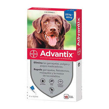 Advantix Perro 25 - 40kg (4.0ml)
