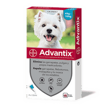 Advantix Perro 4 - 10kg (1ml)