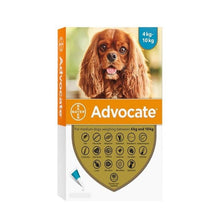 Advocate Perro 4 - 10kg (1.0ml)