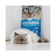 Arena Odour Lock Original 12 kg