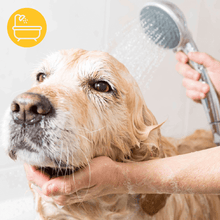 Baño Perro GRANDE (hasta 40 Kg) domicilio